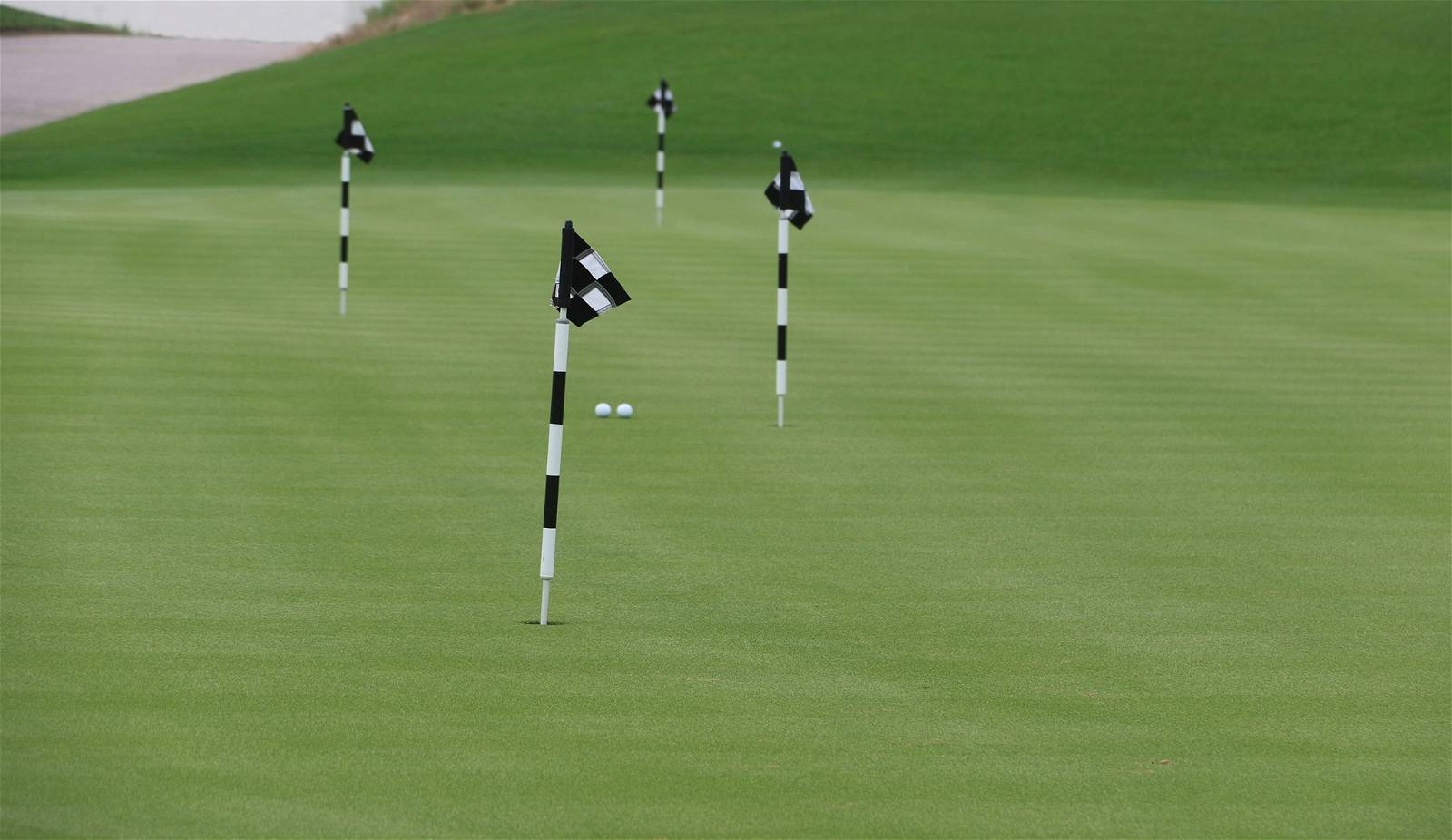 Practice Green, Al Zorah Golf Club, Dubai, United Arab Emirates