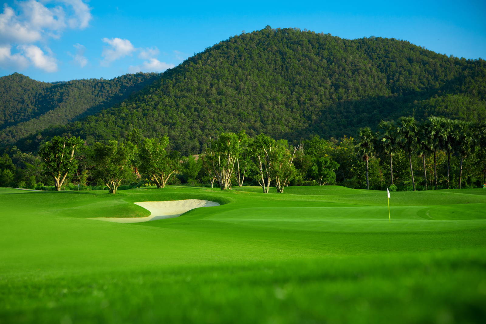 Green, Bunker, Alpine Golf Resort Chiang Mai, Chiang Mai, Thailand