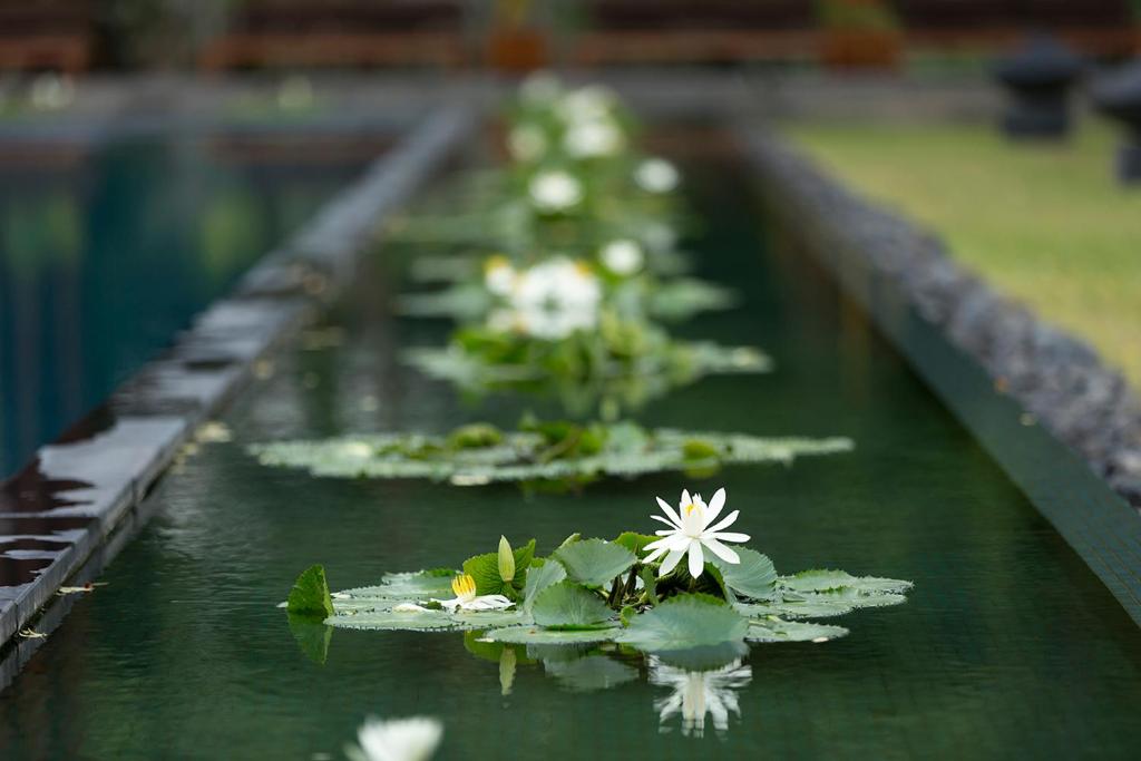 Anantara Chiang Mai Resort, Chiang Mai, Thailand