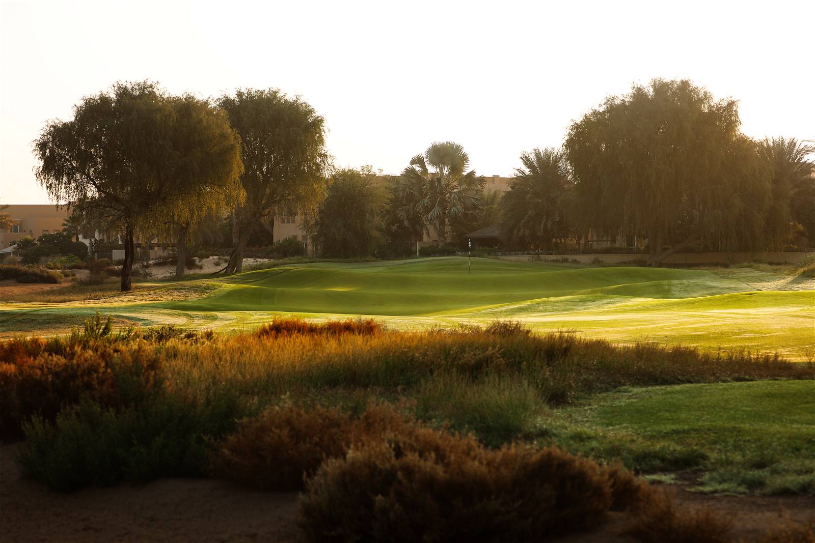Green, Approach, Arabian Ranches Golf Course, Dubai, United Arab Emirates