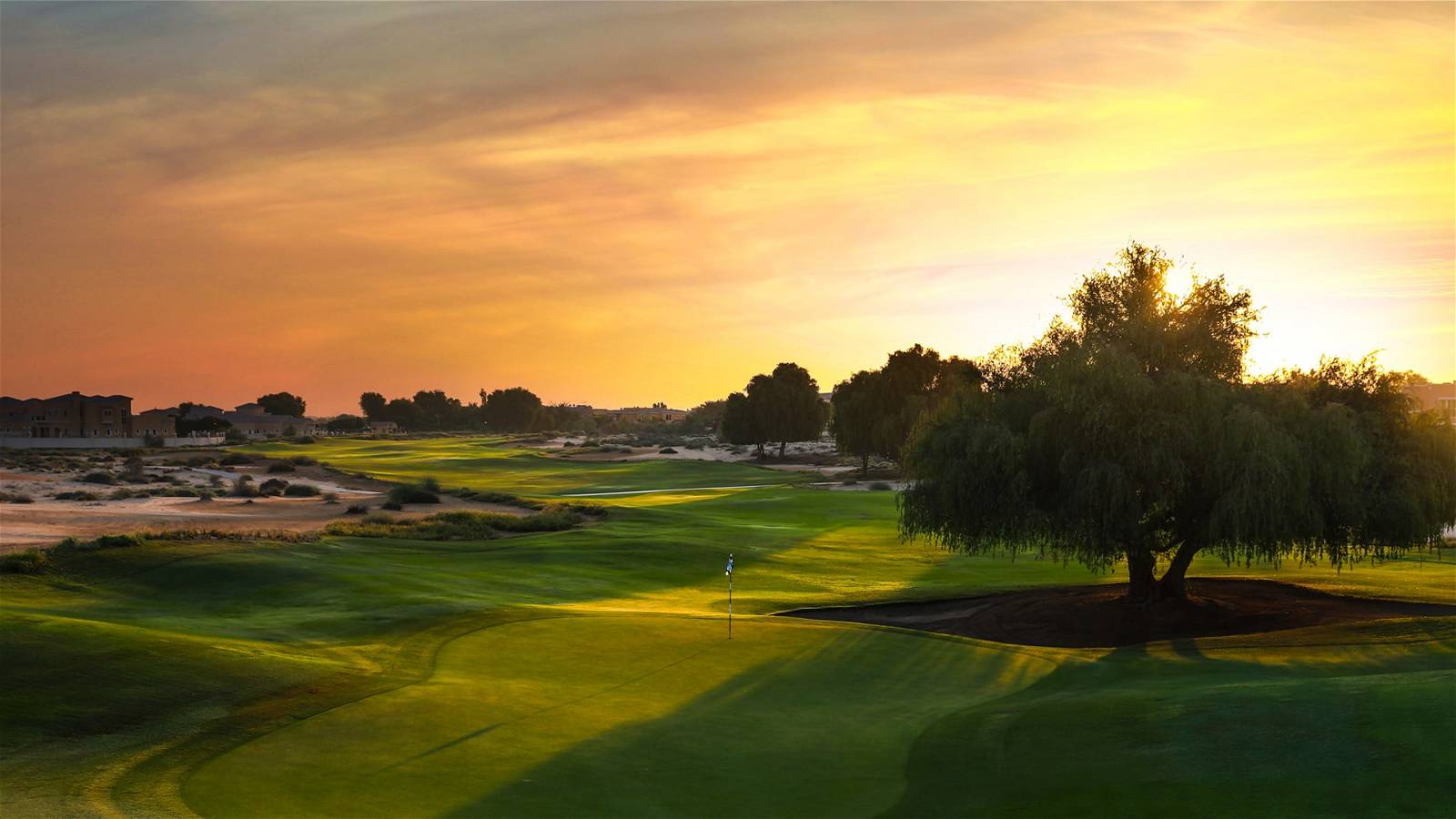 Green, Arabian Ranches Golf Course, Dubai, United Arab Emirates
