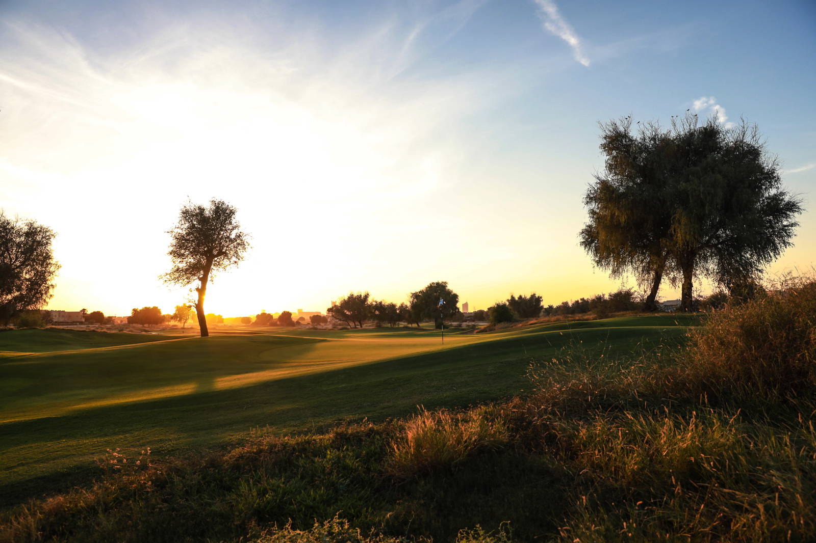 Green, Arabian Ranches Golf Club, Dubai, United Arab Emirates