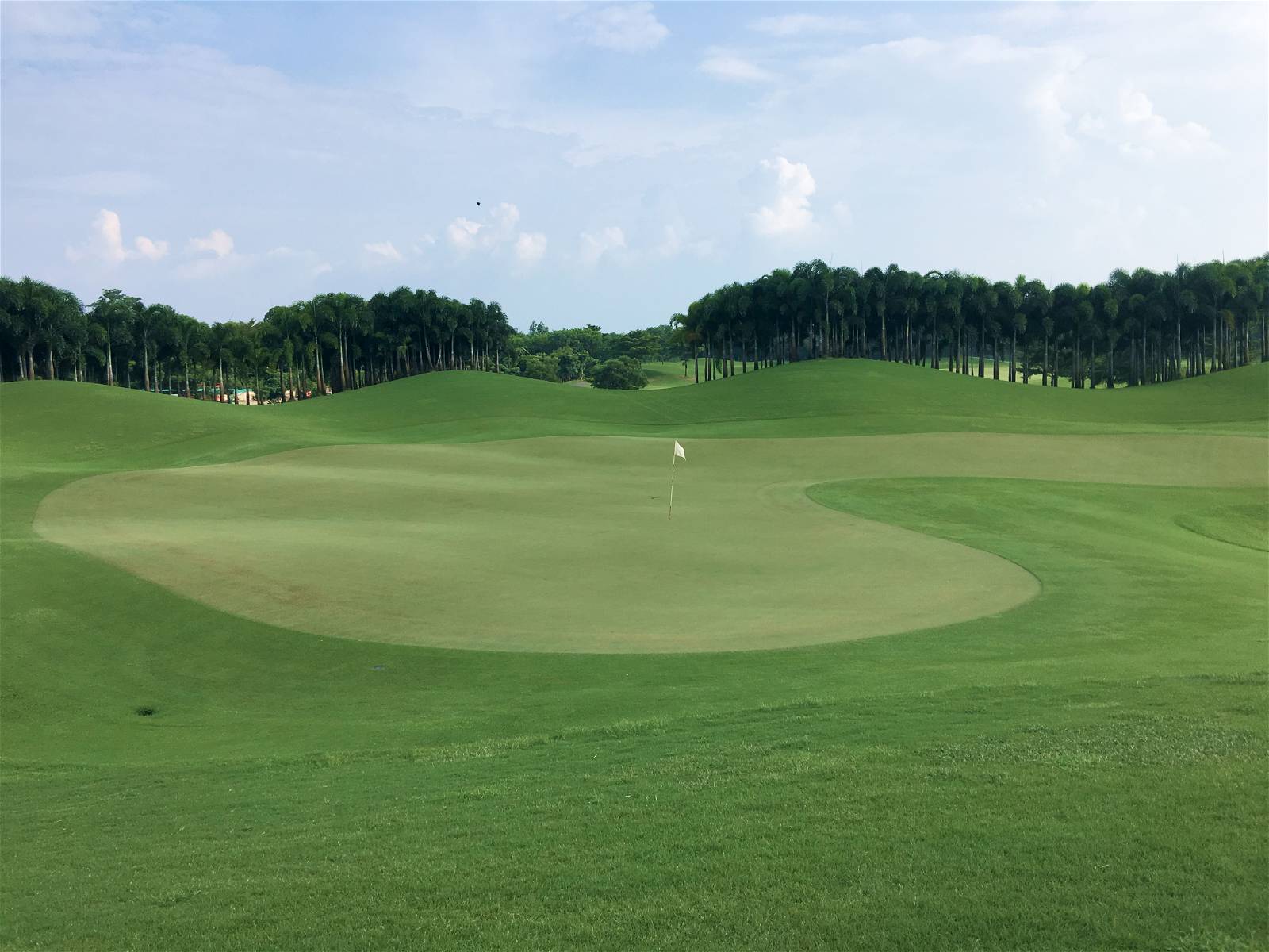 Green, Cascata Golf Club, Bangkok, Thailand