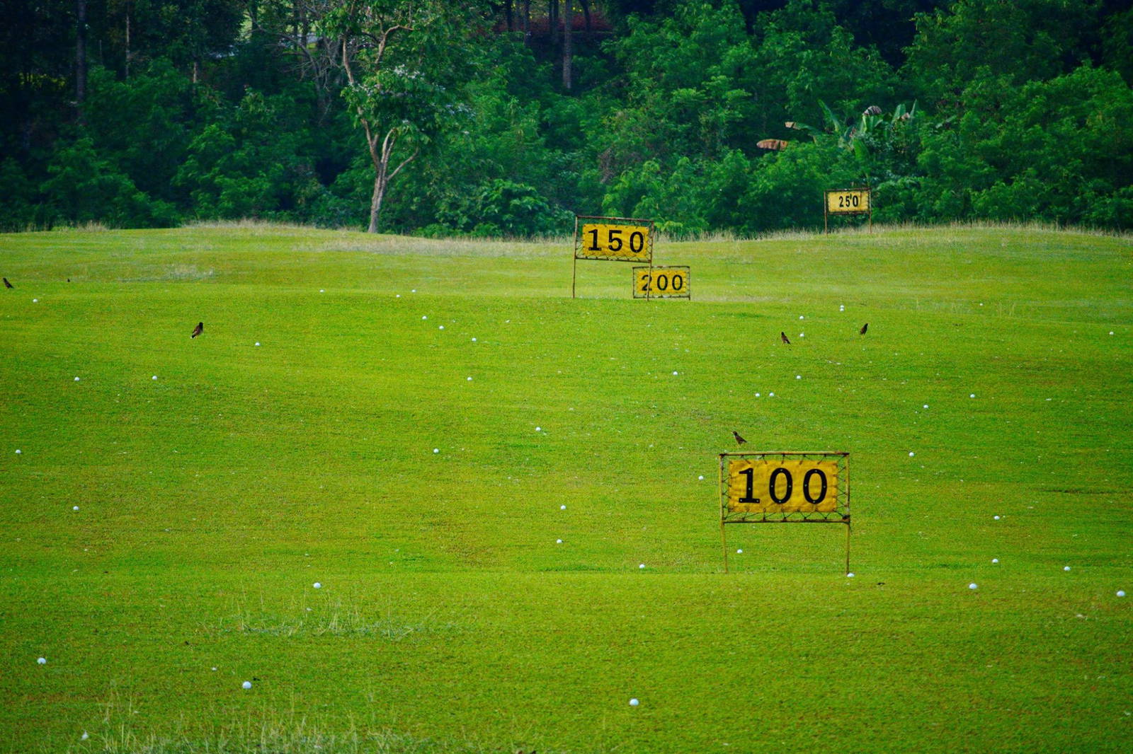 Driving Range, Chatrium Golf Resort Soi Dao Chanthaburi, Pattaya, Thailand