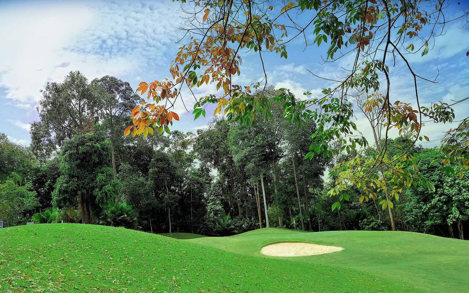 Green, Bunker, Danau Golf Club, Kuala Lumpur, Malaysia