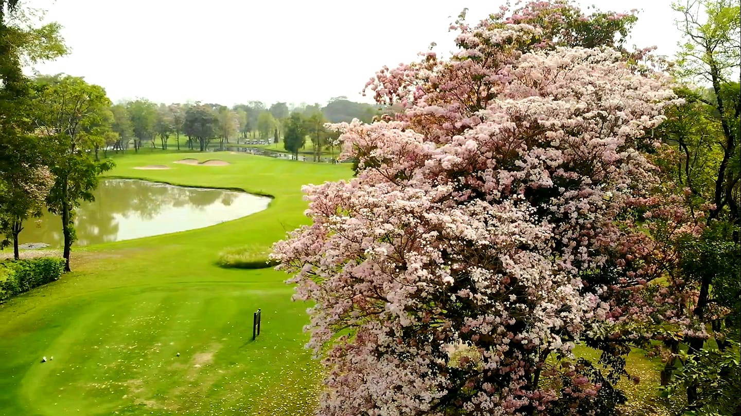 Tee Box, Flora Ville Golf & Country Club, Bangkok, Thailand