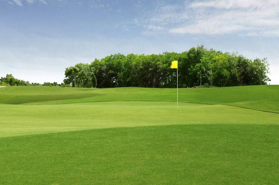 Green, Grand Phnom Penh Golf Club, Phnom Penh, Cambodia