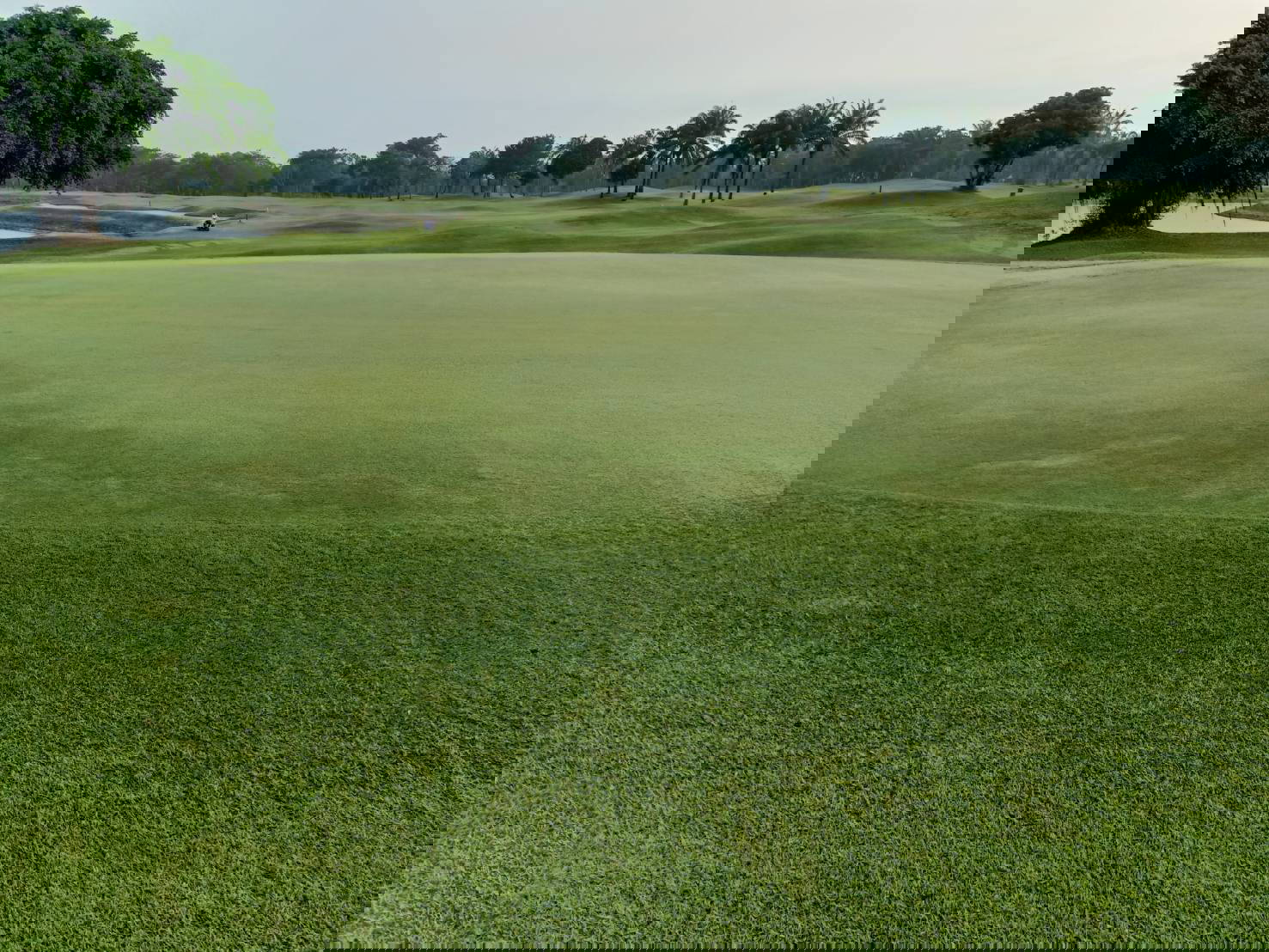 Green, Greenwood Golf Club, Pattaya, Thailand