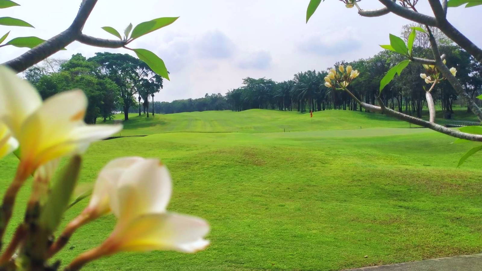 Green, Greenwood Golf Club, Pattaya, Thailand