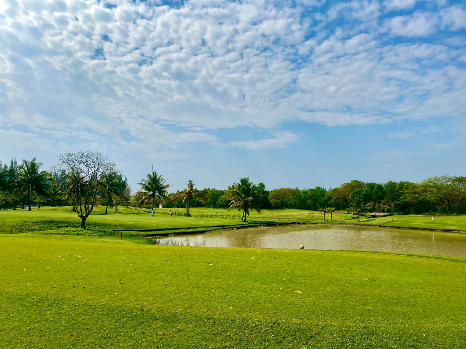 Tee Box, Hariphunchai Golf Club, Chiang Mai, Thailand