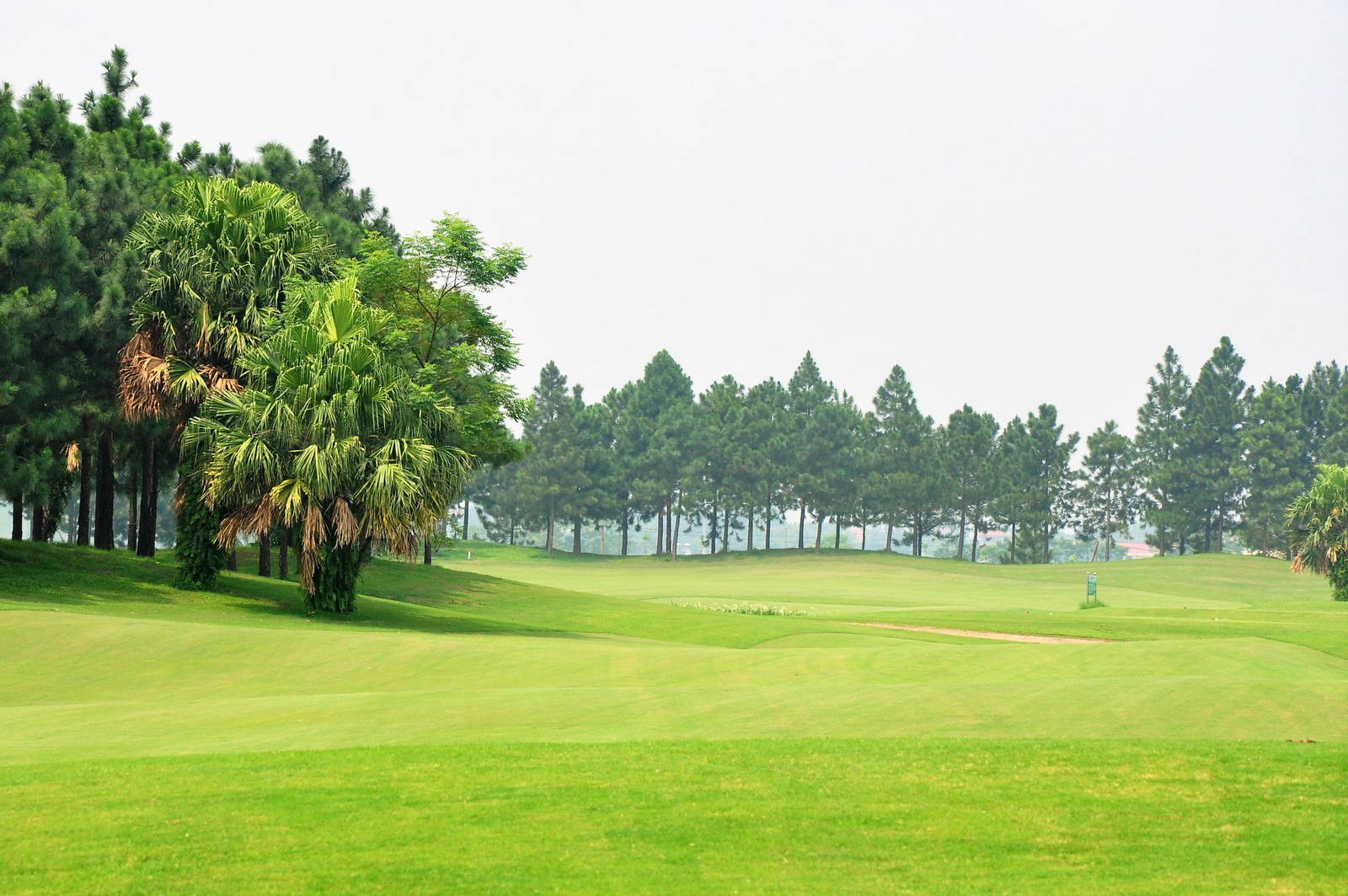 Fairway, Heron Lake Golf Course, Hanoi, Vietnam