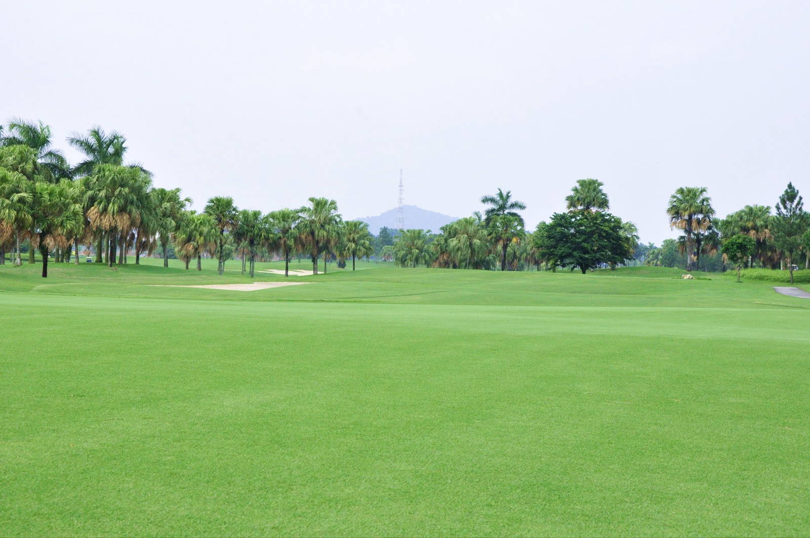 Fairway, Heron Lake Golf Course, Hanoi, Vietnam