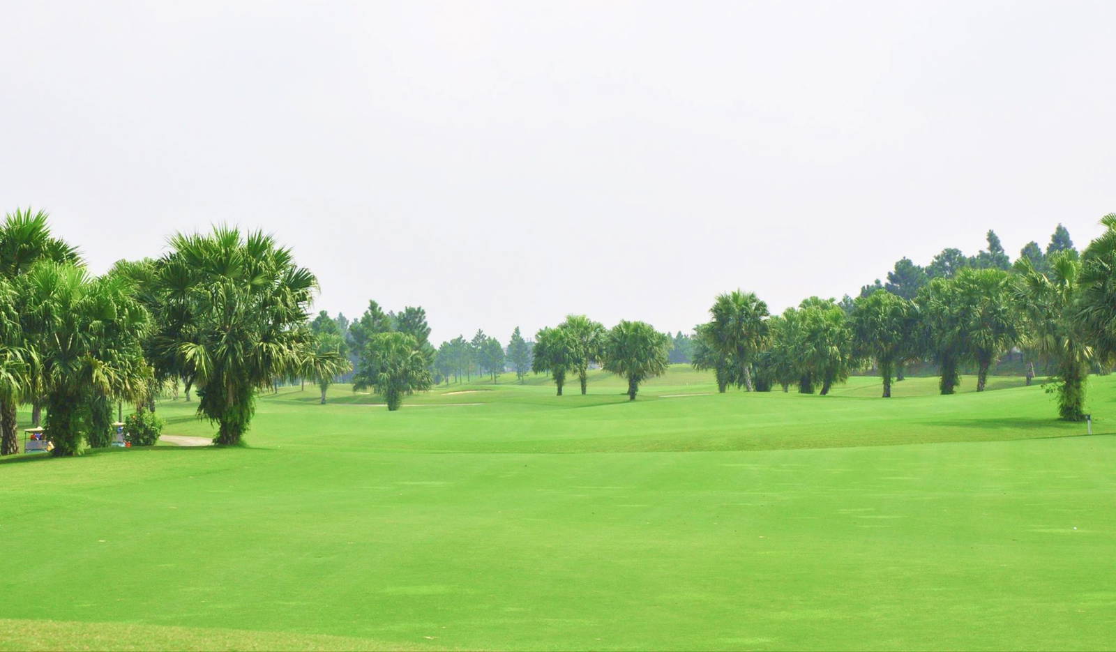 Fairway, Heron Lake Golf Course, Hanoi, Vietnam
