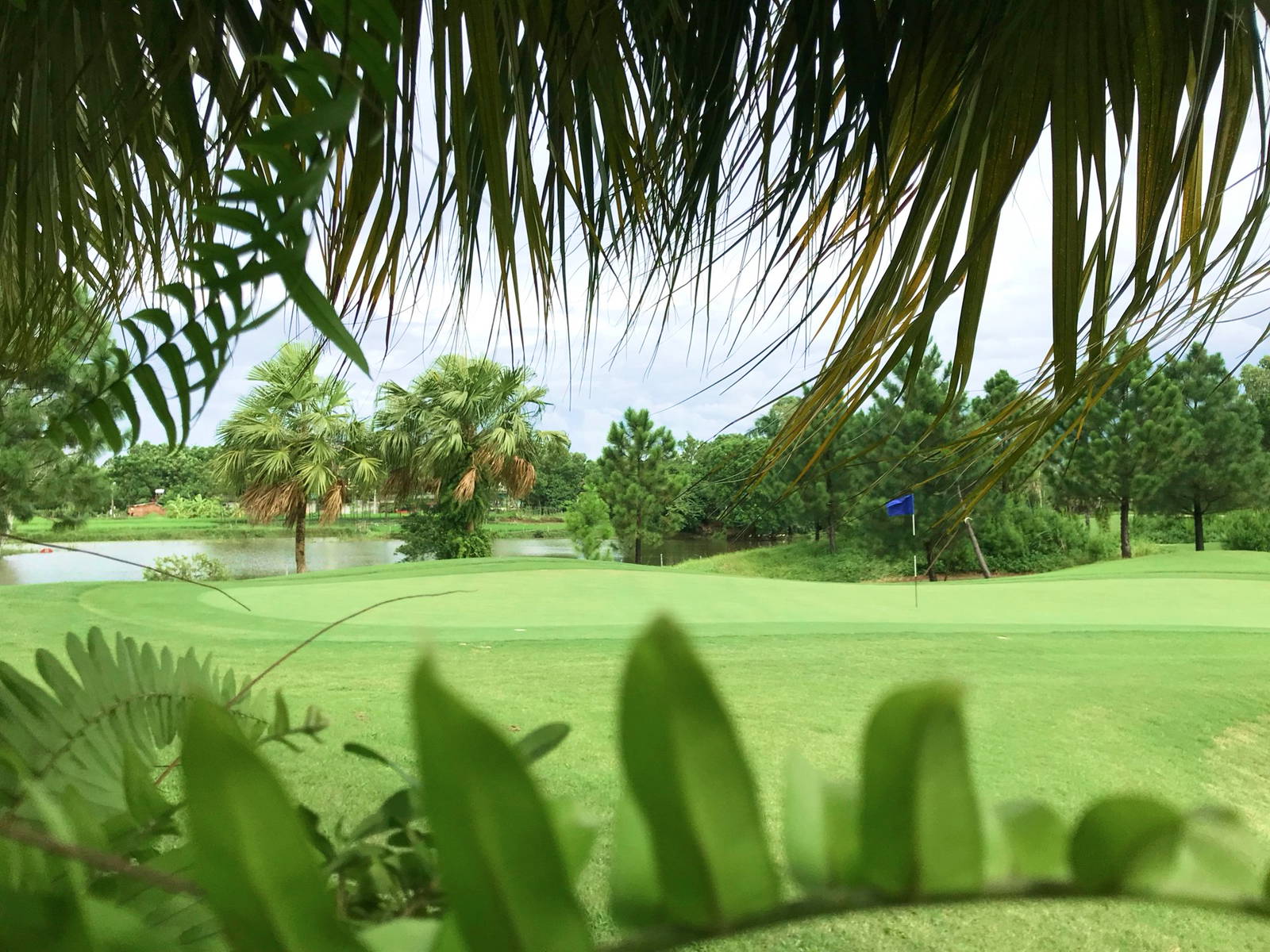 Green, Heron Lake Golf Course, Hanoi, Vietnam