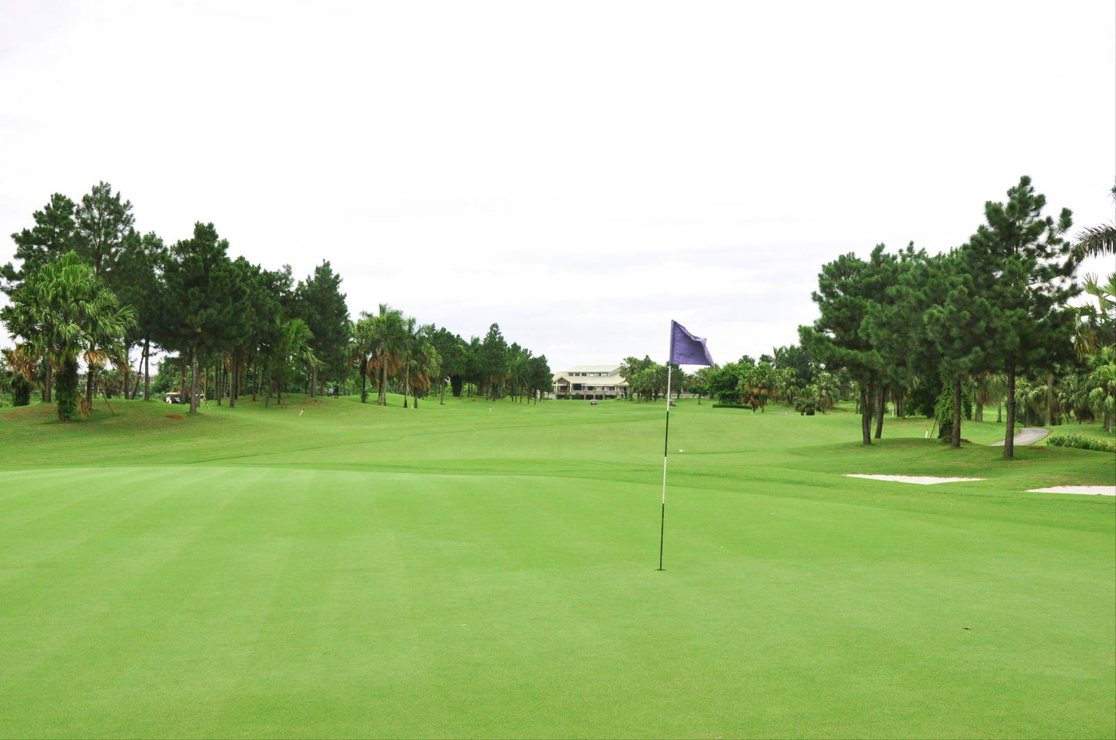 Green, Heron Lake Golf Course, Hanoi, Vietnam