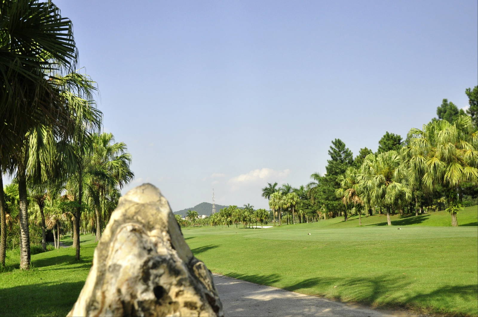 Tee Box, Heron Lake Golf Course, Hanoi, Vietnam