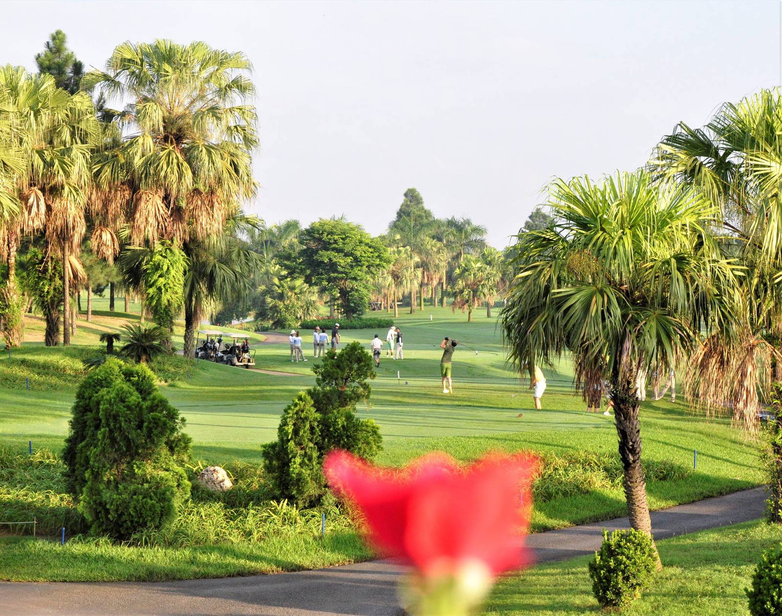 Tee Box, Heron Lake Golf Course, Hanoi, Vietnam