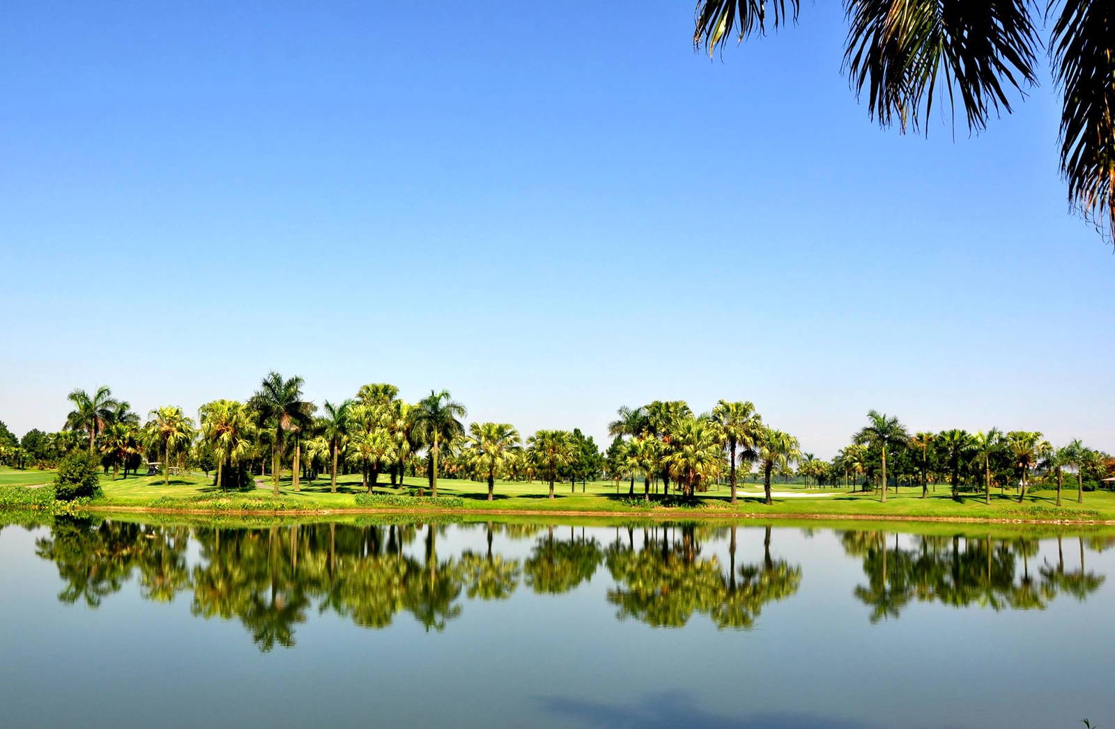 Water Hazard, Heron Lake Golf Course, Hanoi, Vietnam