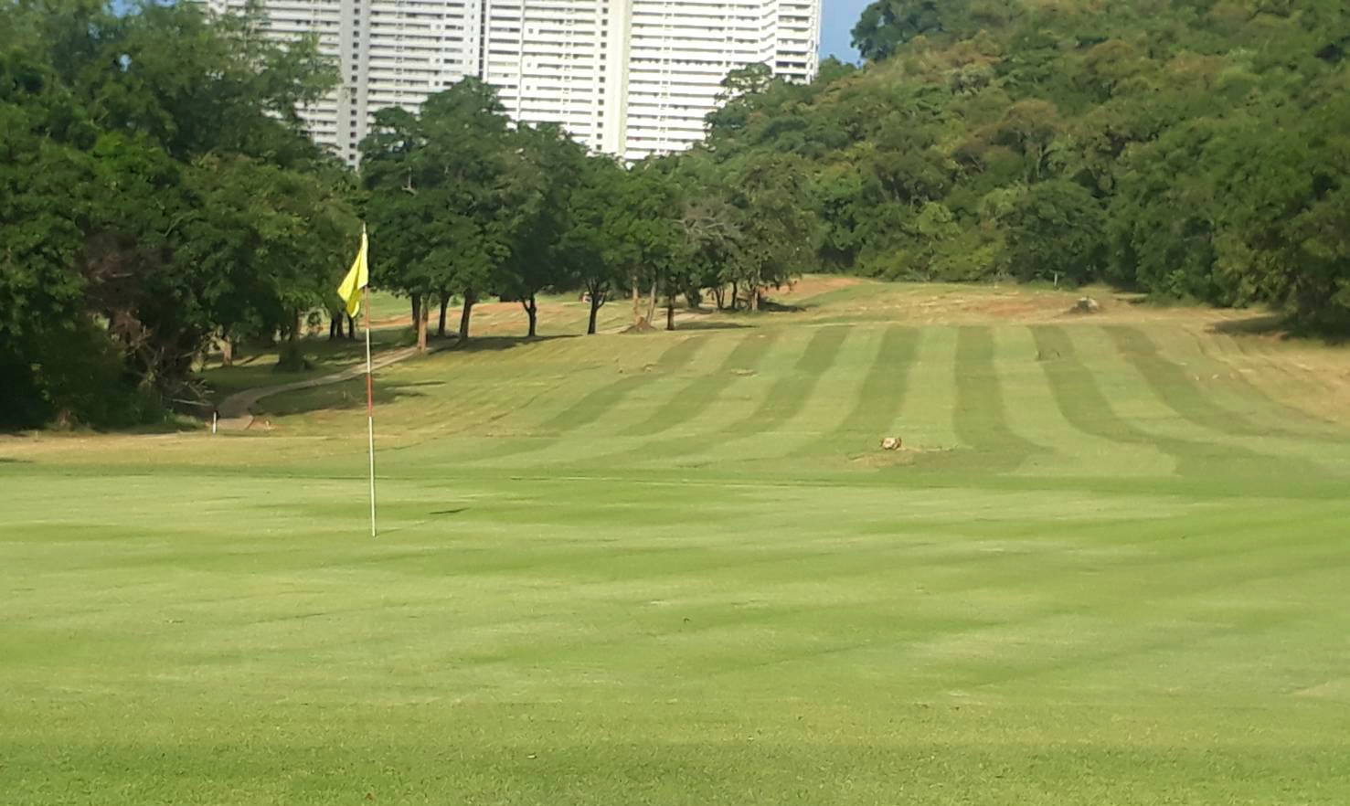 Green, Hua Hin Korea Golf Club (formerly Milford Golf Club), Hua Hin, Thailand