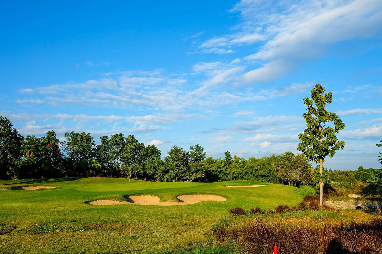 Green, Chiangmai Inthanon Golf & Natural Resort, Chiang Mai, Thailand