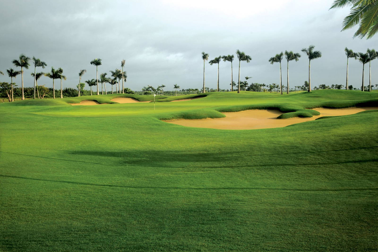 Green, Bunker, Taekwang Jeongsan Country Club, Ho Chi Minh, Vietnam