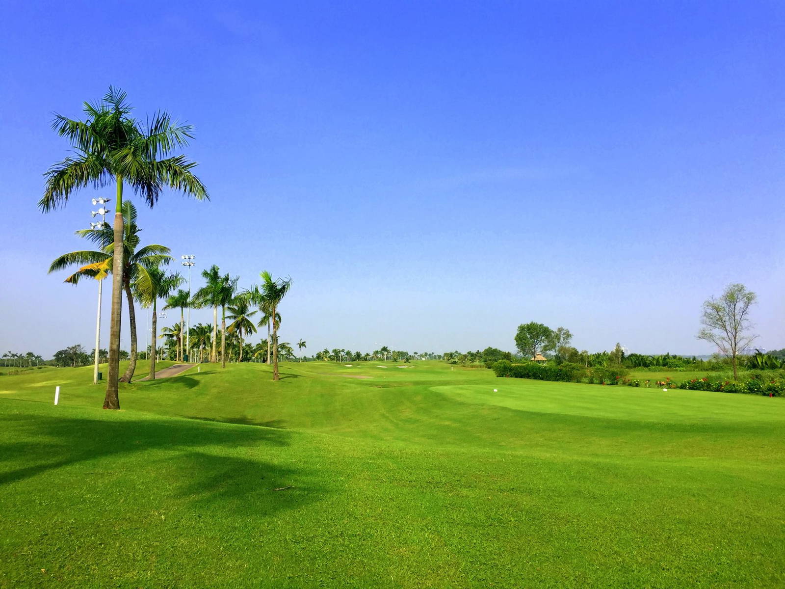 Tee Box, Taekwang Jeongsan Country Club, Ho Chi Minh, Vietnam
