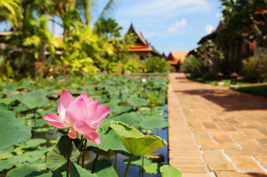 Khaolak Bhandari Resort & Spa, Khao Lak, Thailand