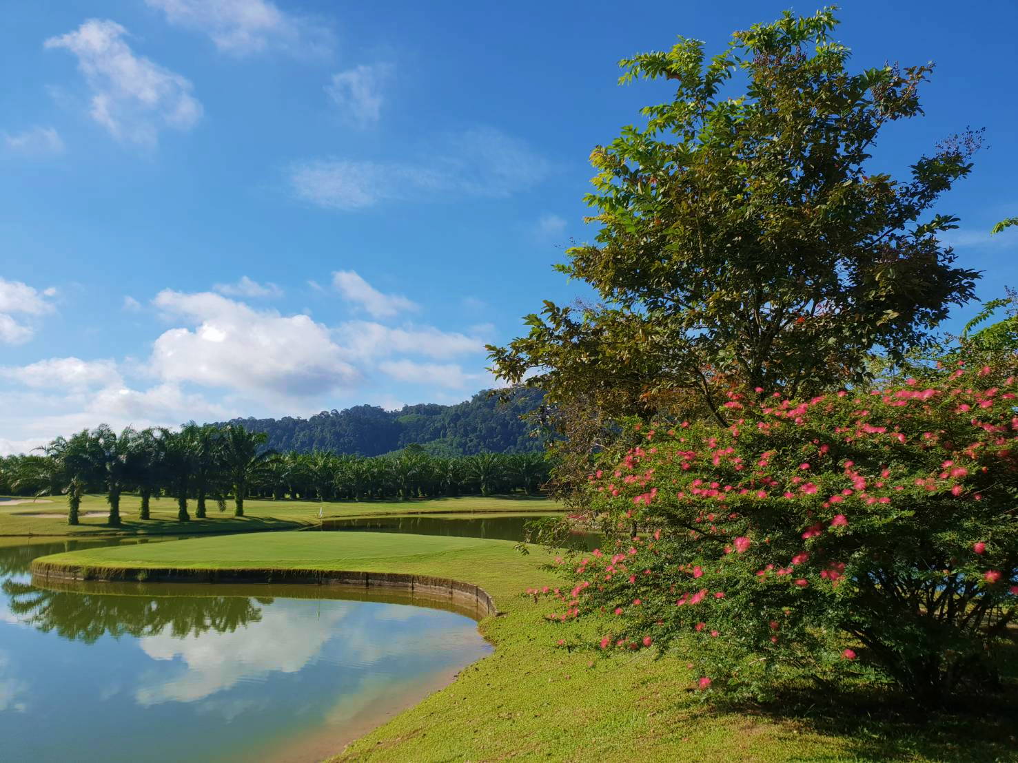 Green, Water Hazard, Kirinara Golf Course, Khao Lak, Thailand