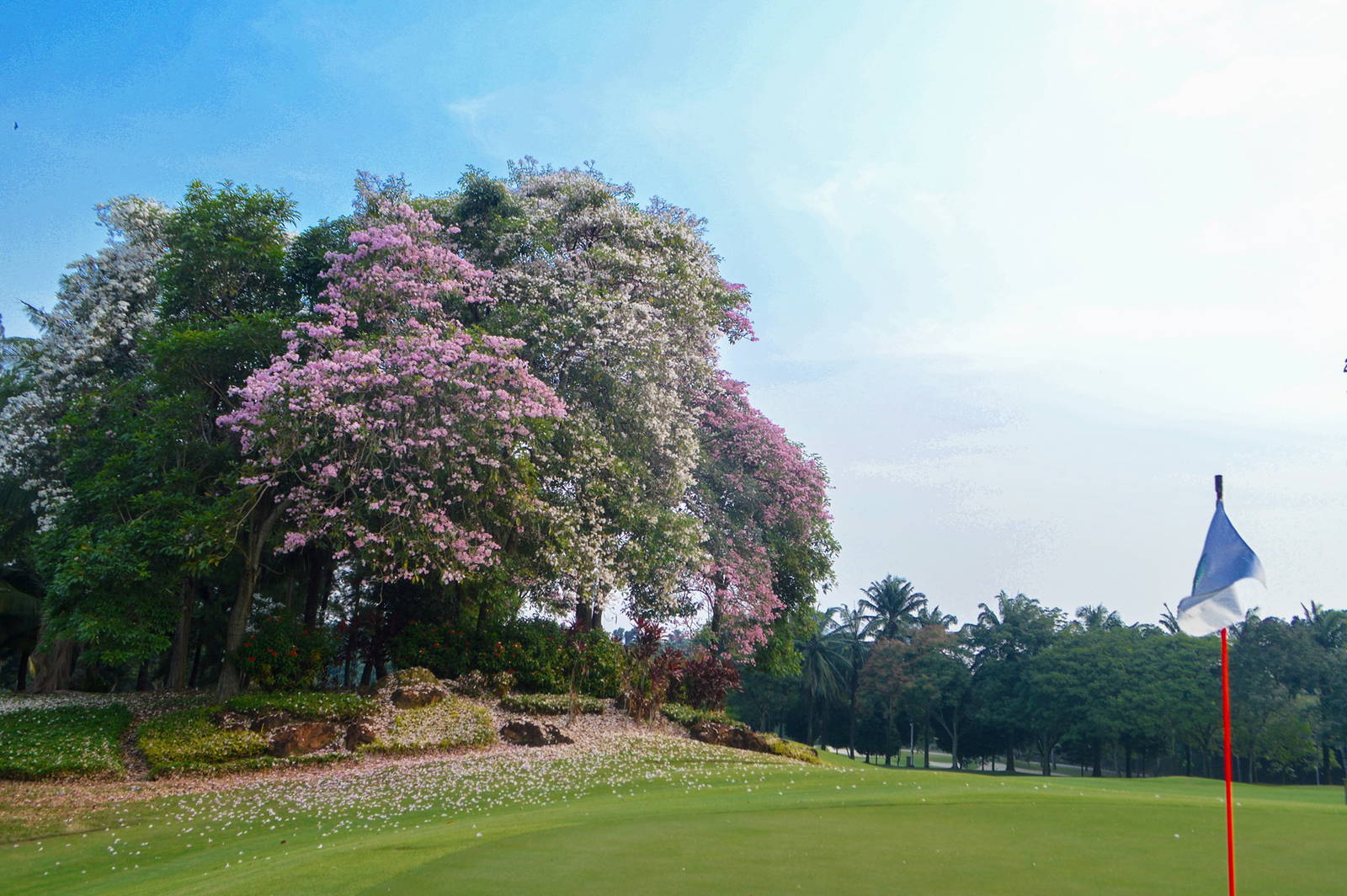 Green, Kota Permai Golf & Country Club, Kuala Lumpur, Malaysia