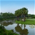 Island Green, Krung Kavee Golf Course, Bangkok, Thailand