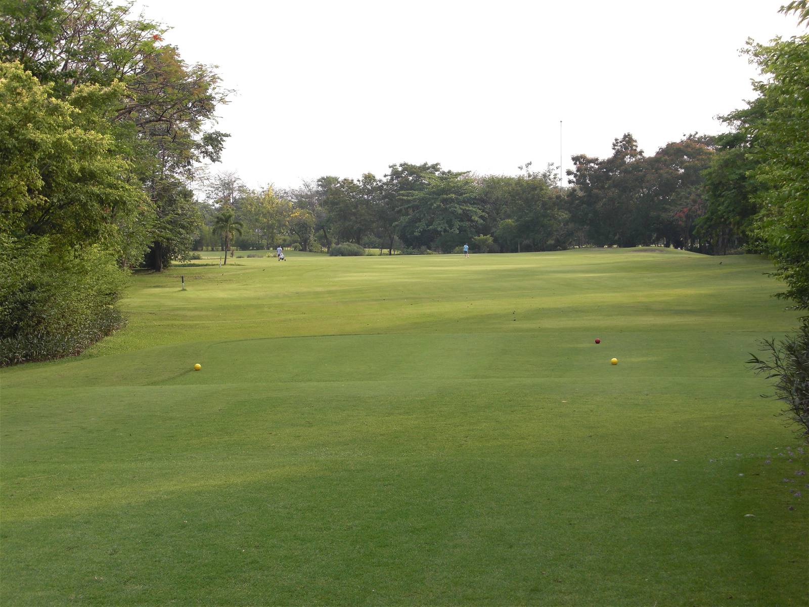 Tee Box, Krungthep Kreetha Golf Course, Bangkok, Thailand