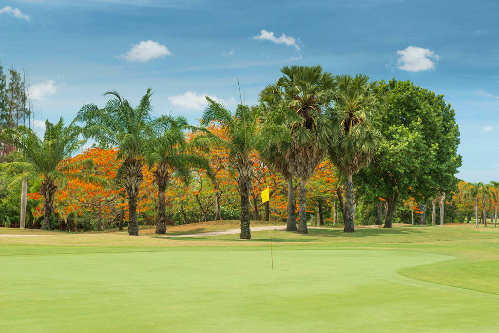 Green, Lakewood Country Club, Bangkok, Thailand