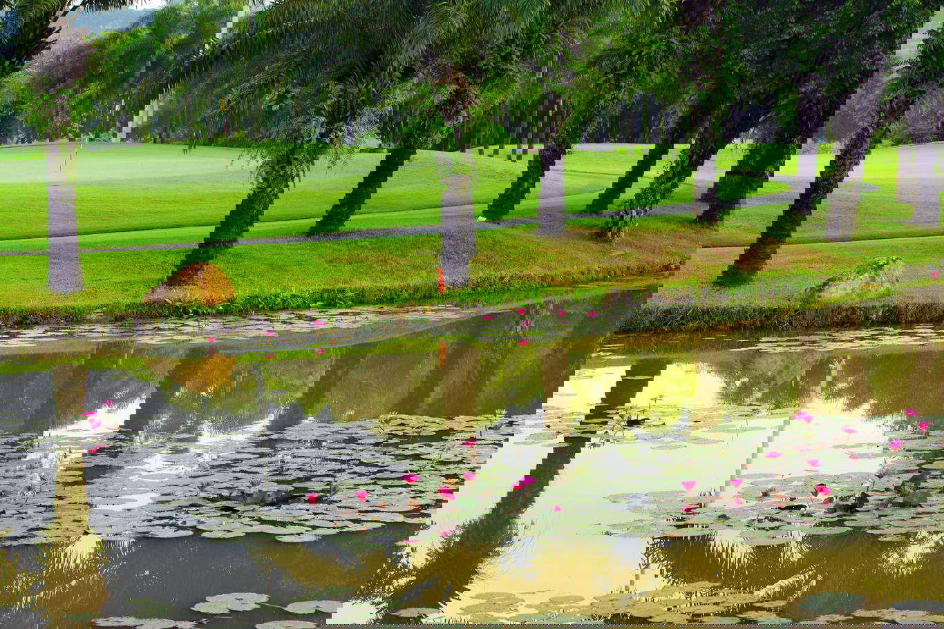 Green, Water Hazard, Long Thanh Golf Club, Ho Chi Minh, Vietnam