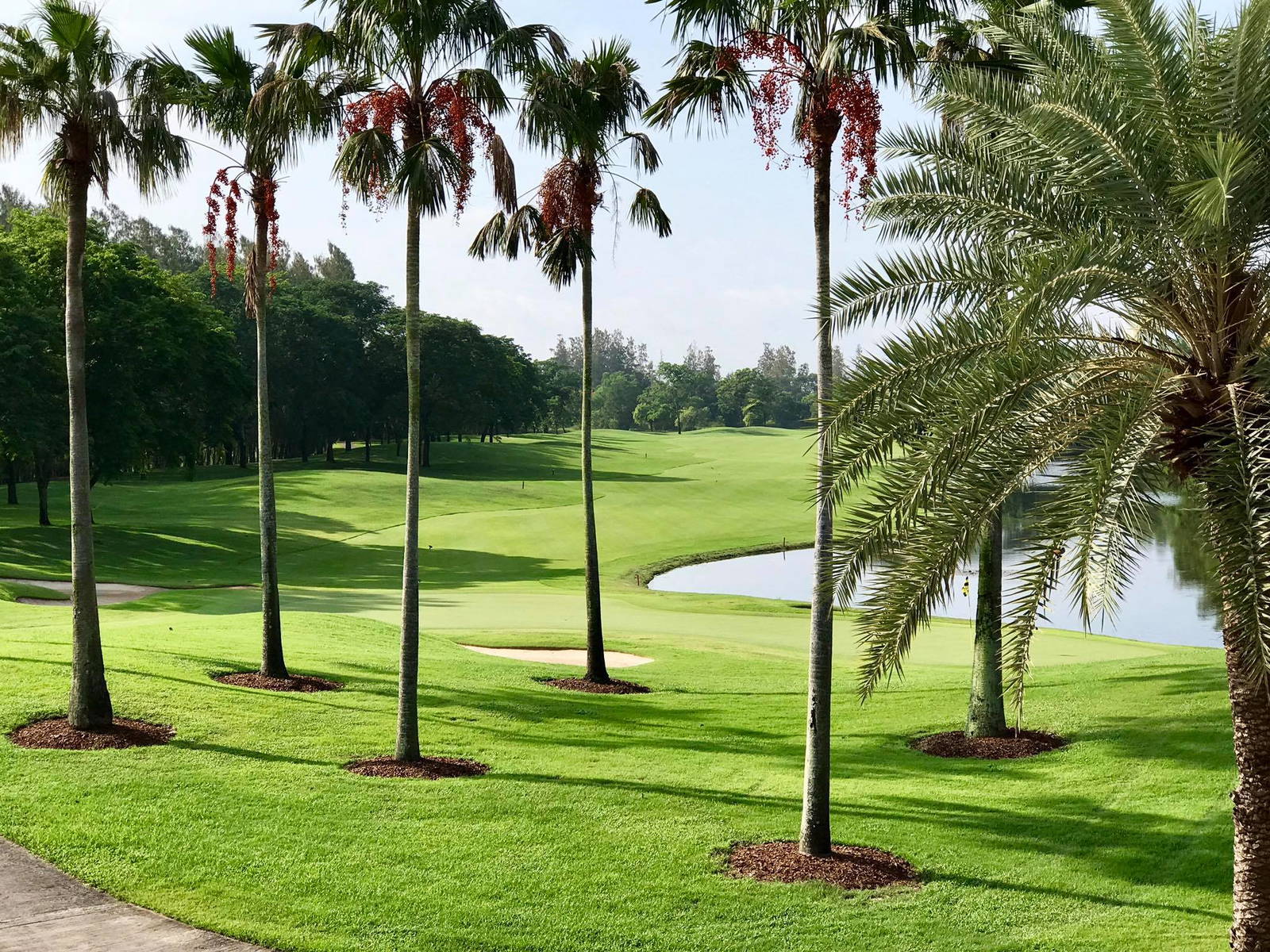 Green, Lotus Valley Golf Club, Bangkok, Thailand