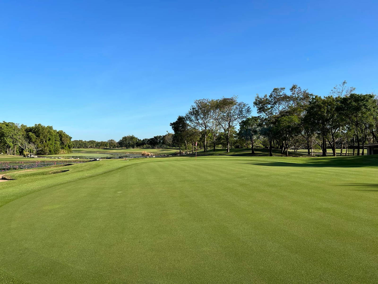 Green, Lotus Valley Golf Club, Bangkok, Thailand