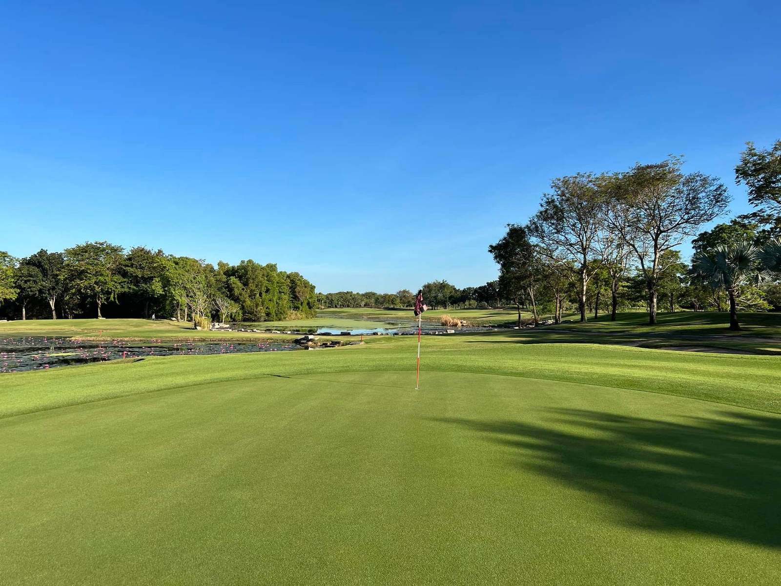 Green, Lotus Valley Golf Club, Bangkok, Thailand