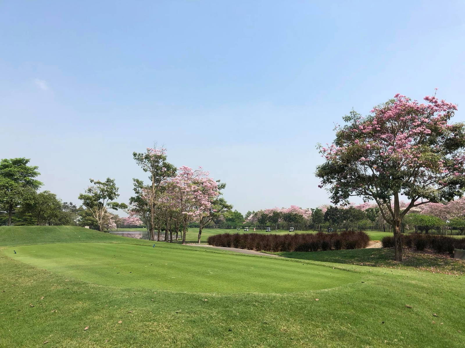 Tee Box, Lotus Valley Golf Club, Bangkok, Thailand