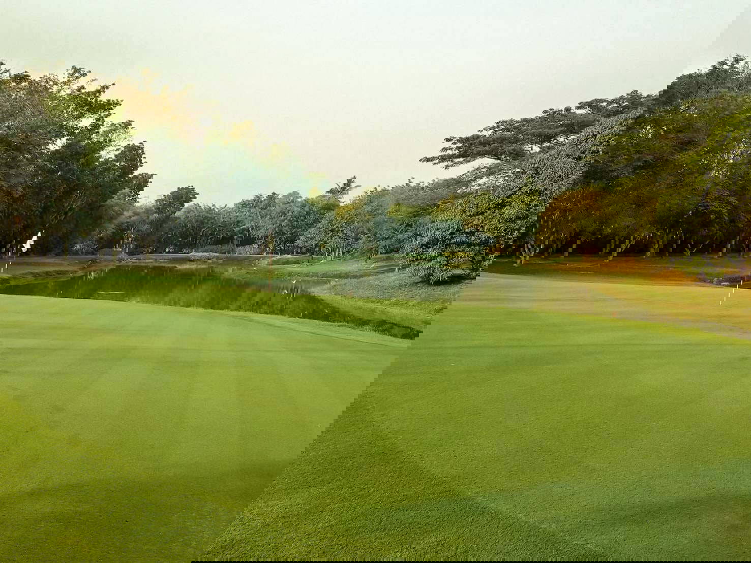 Green, Mae Jo Golf Resort & Spa, Chiang Mai, Thailand