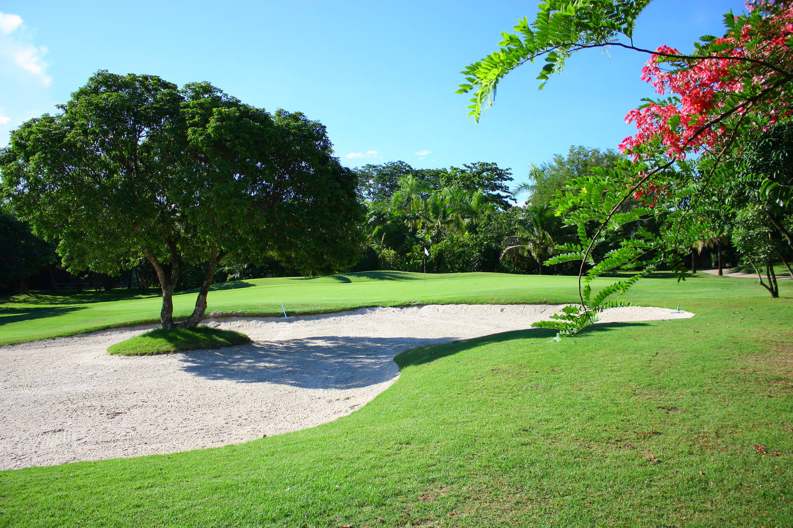 Green, Bunker, Mae Jo Golf Resort & Spa, Chiang Mai, Thailand