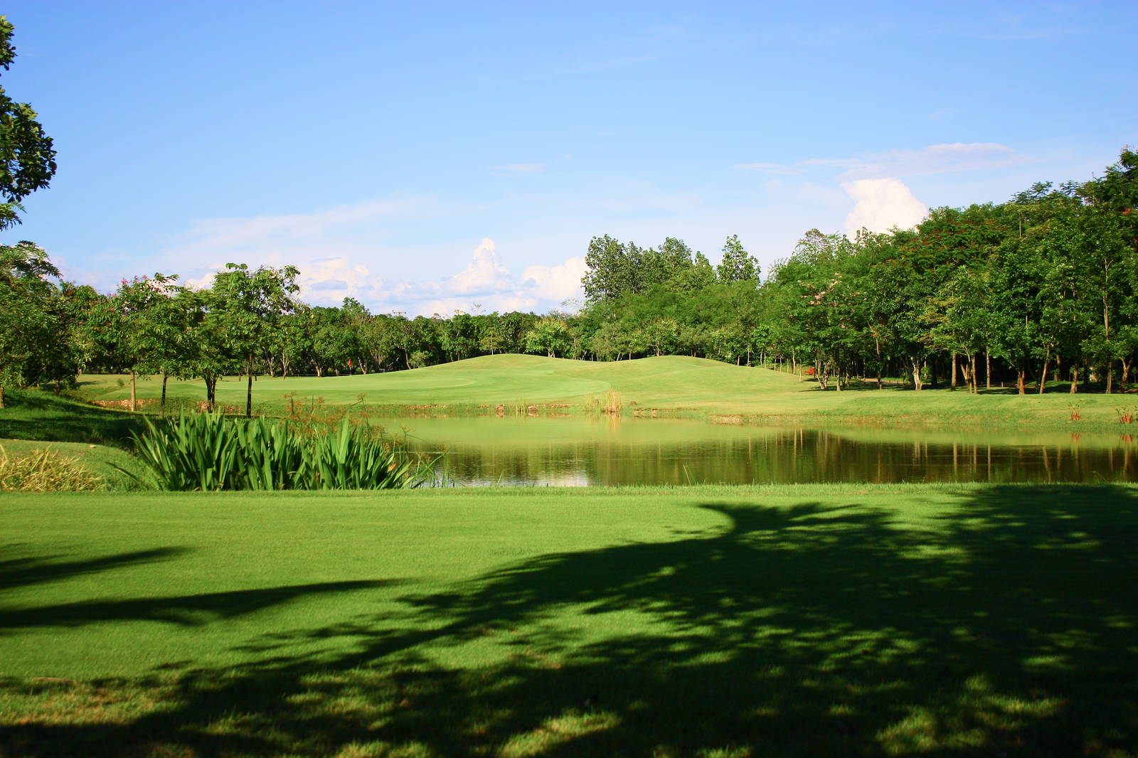 Tee Box, Mae Jo Golf Resort & Spa, Chiang Mai, Thailand