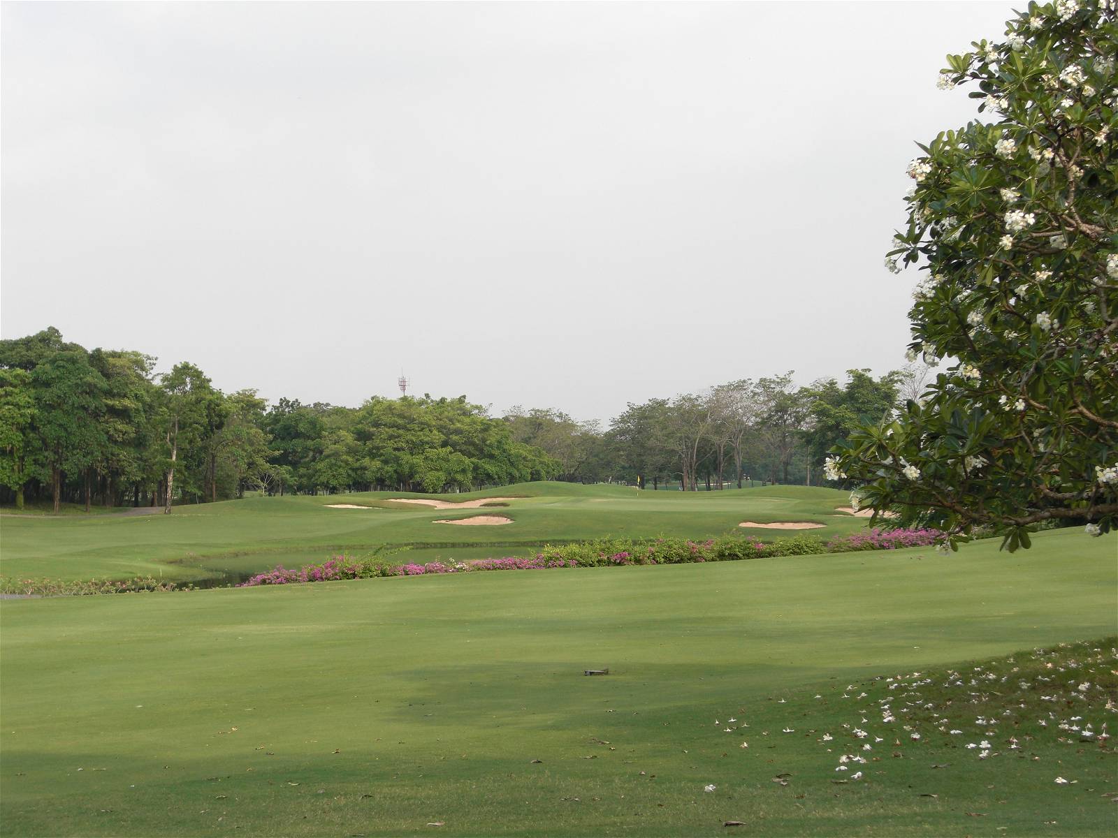Fairway, Navatanee Golf Course, Bangkok, Thailand