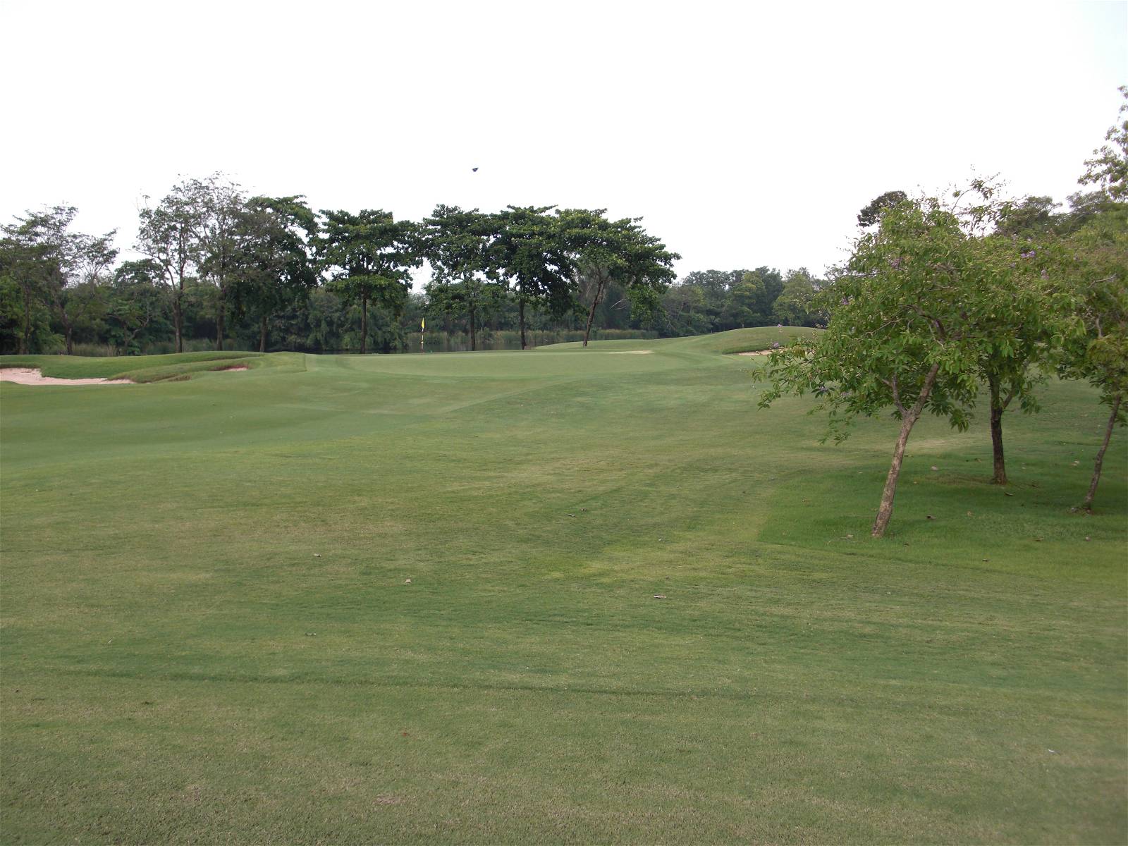 Approach, Navatanee Golf Course, Bangkok, Thailand