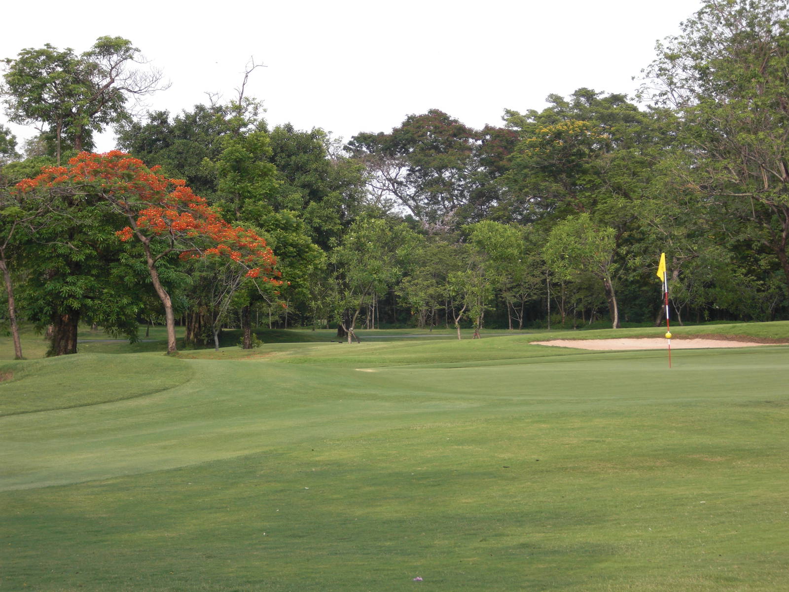 Green, Navatanee Golf Course, Bangkok, Thailand