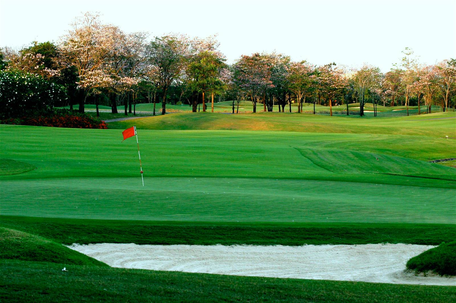 Green, Bunker, Navatanee Golf Course, Bangkok, Thailand