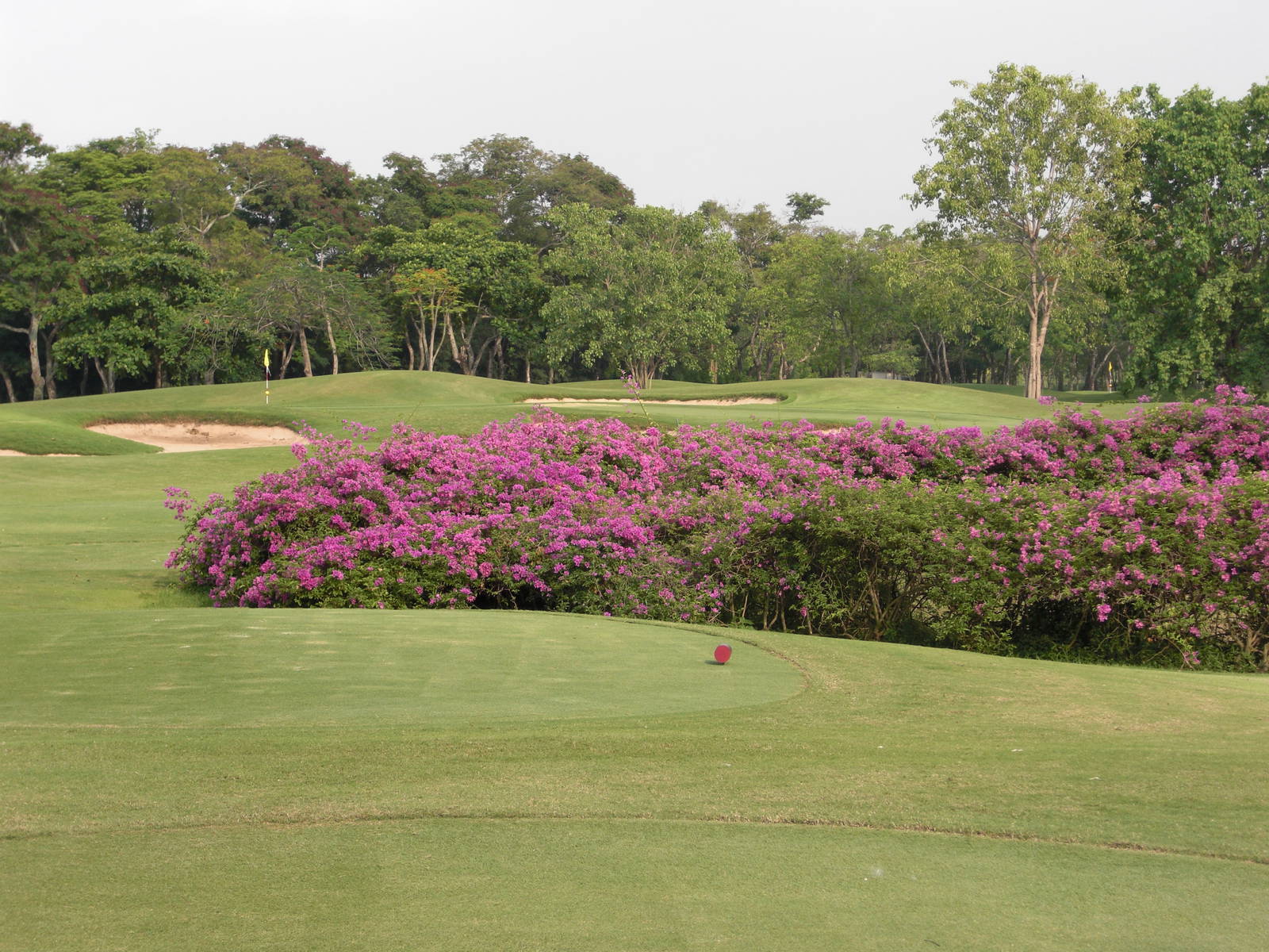 Tee Box, Navatanee Golf Course, Bangkok, Thailand