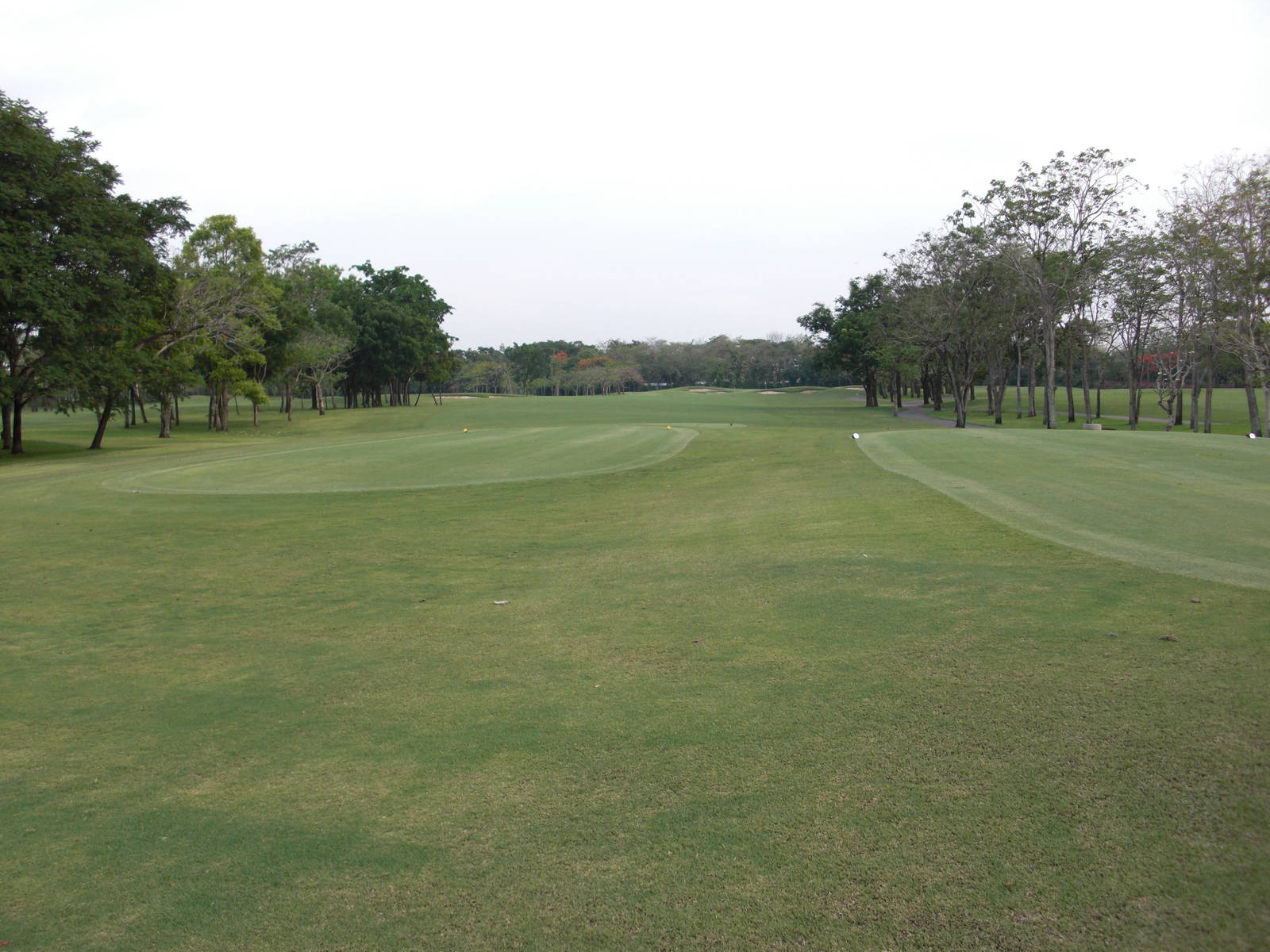 Tee Box, Navatanee Golf Course, Bangkok, Thailand