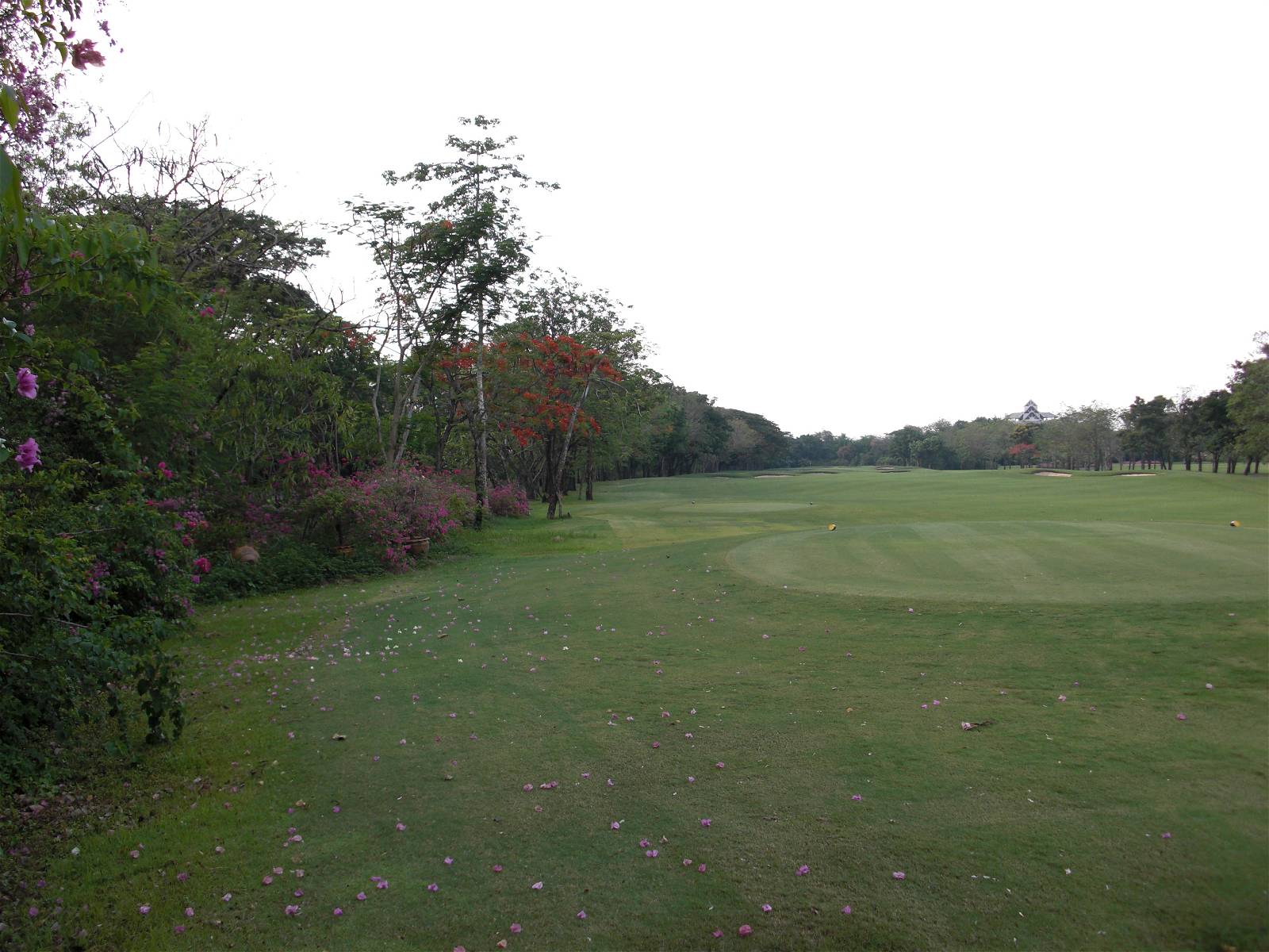 Tee Box, Navatanee Golf Course, Bangkok, Thailand