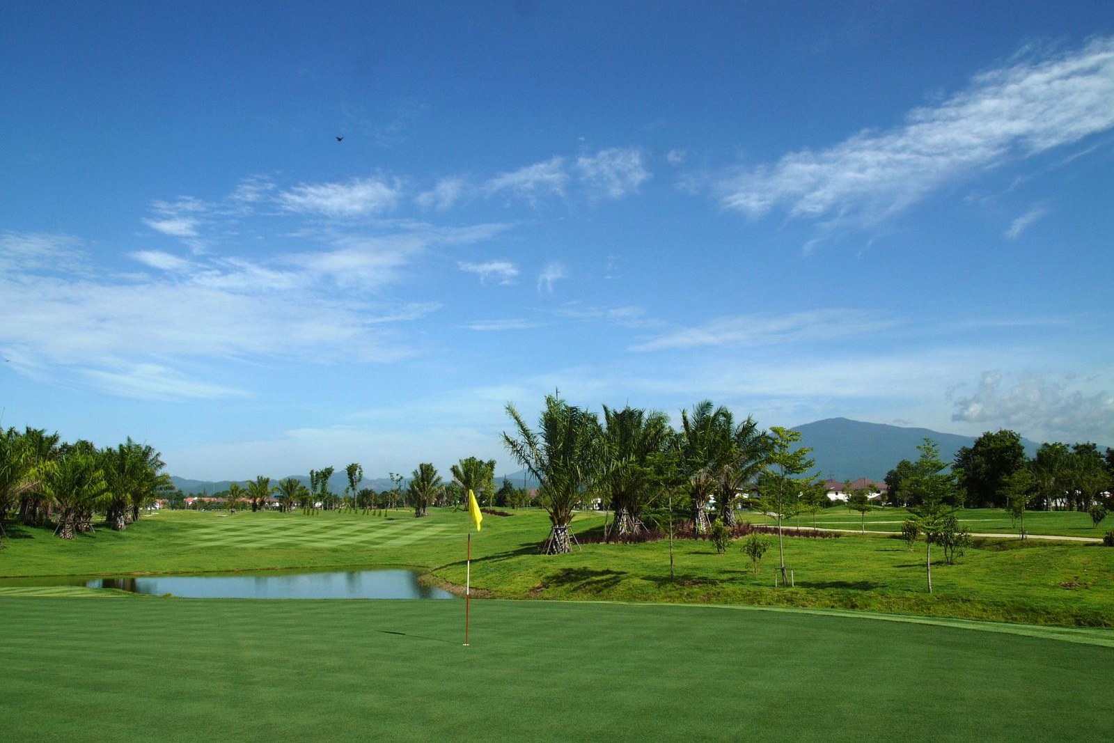 Green, North Hill Golf Club Chiang Mai, Chiang Mai, Thailand
