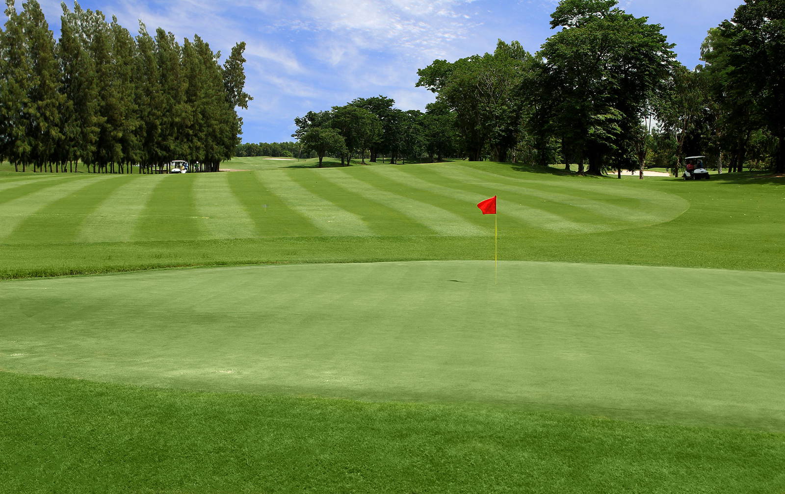 Green, Northern Rangsit Golf Club, Bangkok, Thailand