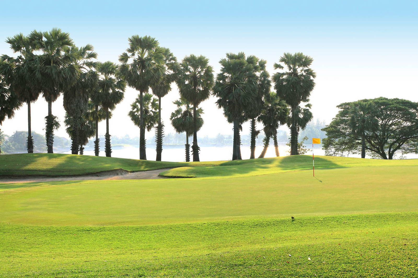 Green, Palm Hills Golf Club, Hua Hin, Thailand